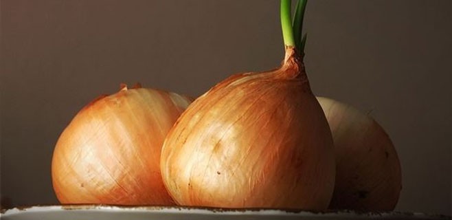 cebollas