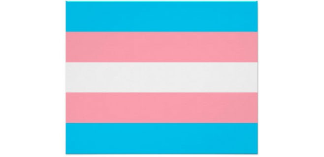 bandera-trans