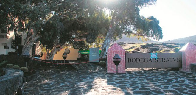 bodegas-stratvs