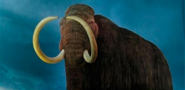 mamut