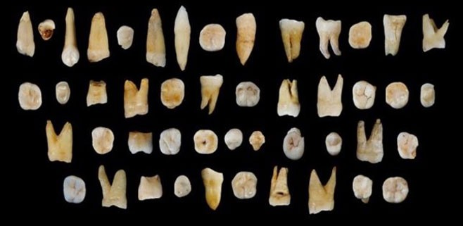 homo-sapiens-china