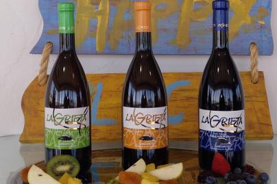 La bodega Malpaís de Máguez, premiada por la calidad de sus vinos