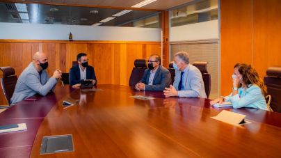Plan para detectar y sancionar empresas ilegales de Santa Cruz