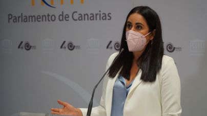 “El Consultivo ha dejado a Román Rodríguez sin argumentos en su intención de silenciarme en el Parlamento”