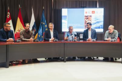La Gomera y Dinamarca impulsan un proyecto tecnológico conjunto