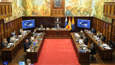 El Pleno del Cabildo aprueba invertir 7,2 millones de euros para hacerse con el 95% del Polígono Industrial de Arinaga