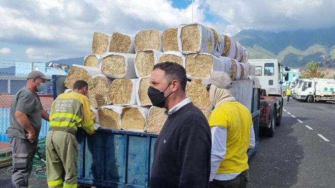 Los ganaderos desplazados por el volcán han recibido unos 100.000 kilos de alimento donado para el ganado