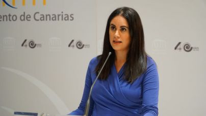 Espino presenta 50 enmiendas para mejorar sanidad, educación y servicios sociales