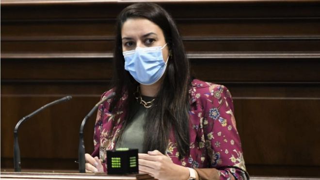 Fleitas pide al Gobierno de Canarias que impulse el turismo de cruceros en La Palma