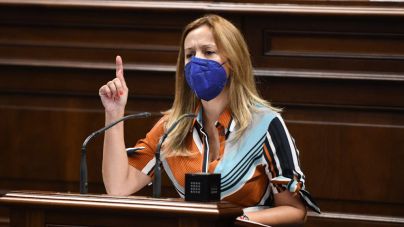 CC propone destinar la financiación del macroestudio de Fonsalía a la investigación y protección de los cetáceos
