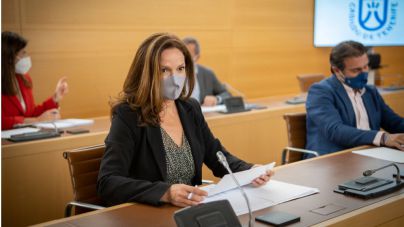 “Los presupuestos que plantea el Partido Socialistas van a agravar y cronificar los problemas de Tenerife”
