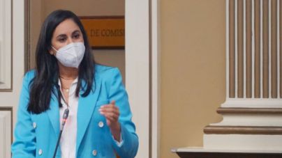 Espino trae la voz de los palmeros al Parlamento de Canarias para que se conozcan sus demandas reales