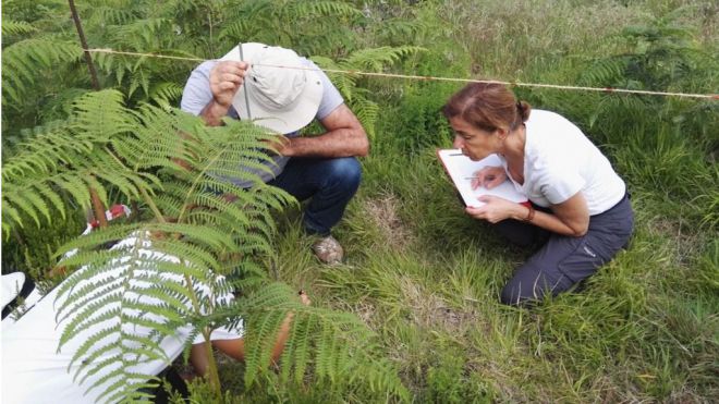 El ICIA, un ejemplo de igualdad de género en el futuro de la investigación científica