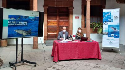 La Palma presenta la primera guía de avistamiento de cetáceos
