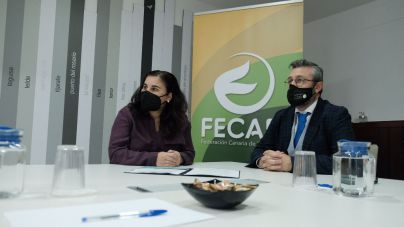 Transición Ecológica y FECAM celebran el primer Encuentro del Pacto de las Alcaldías