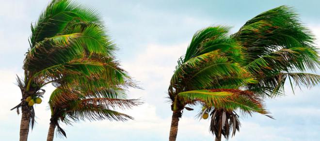 Declaración de la situación de alerta por viento y fenómenos costeros