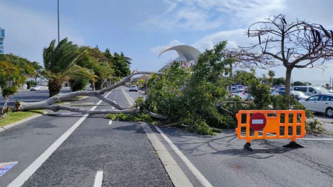 Suspendidas las actividades municipales al aire libre y cierre preventivo de los parques
