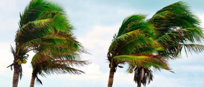 Situación de Alerta por Viento en Islas occidentales y Gran Canaria