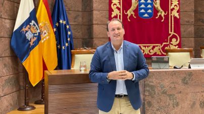 Fernández de la Puente urge a acelerar el plan de viabilidad para la reposición de las plataneras de La Palma