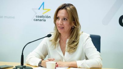 CC insta a Torres a “exigir a Madrid” que actúe si quiere impedir que la tasa europea afecte a las Islas