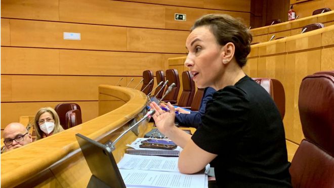 Delgado defiende la importancia de la PLOCAN para el desarrollo tecnológico y de las energías renovables marinas