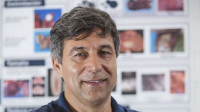 La ULPGC coordina un proyecto financiado por el Ministerio para la investigación de la muerte de cetáceos por artes de pesca