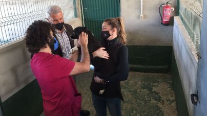 CC-PNC logra los apoyos para convocar una reunión extraordinaria del Consejo de Bienestar Animal