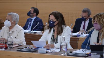 El PP denuncia el “absoluto fracaso” de la campaña de bonos consumo del Cabildo