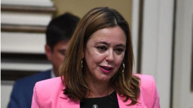 El Cabildo y el Gobierno de Canarias ejecutarán un plan para acabar con la plaga de Diocalandra frumenti y salvar el palmeral de Lanzarote
