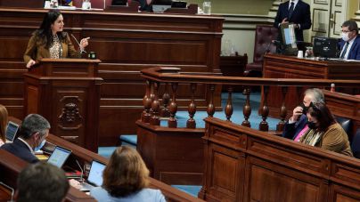 Espino rechaza que el Parlamento se gaste 1.238 euros en renovar cada uno de los 85 sillones
