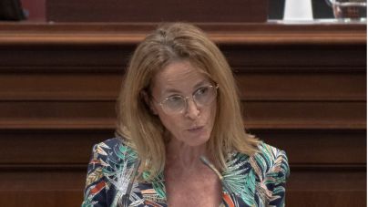 El PP vuelve a exigir la paralización del Plan Rector del Teide “porque en lugar de regular lo que hace es prohibir”