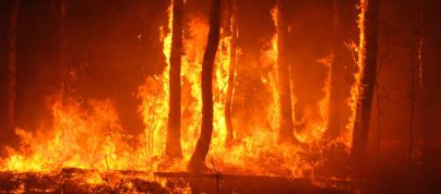 Alerta Máxima por Riesgo de Incendios Forestales en El Hierro, La Palma, La Gomera, Tenerife y Gran Canaria