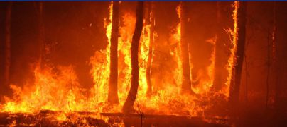 Alerta por Riesgo de Incendios Forestales en El Hierro, La Palma, La Gomera, Tenerife y Gran Canaria