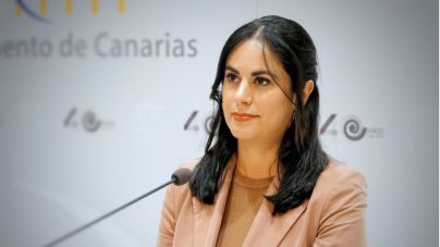 Espino denuncia la inacción del Gobierno de Torres y reclama medidas que den respuesta a las familias canarias