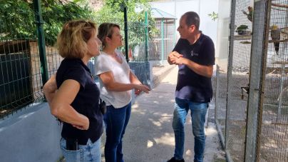 Gobierno de Canarias y Fundación Neotrópico impulsan la cría de insectos para la producción de piensos