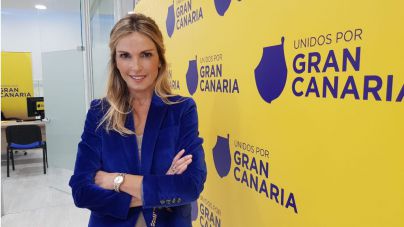 Unidos por Gran Canaria propone la reconstrucción de los centros comerciales de Playa del Inglés con zonas verdes