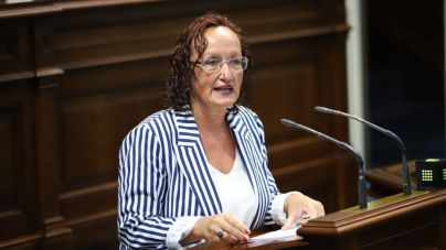 El PSOE impulsa la regulación del asistente personal para fomentar la autonomía de personas con discapacidad o dependientes