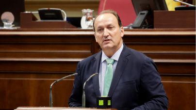 El pleno aprueba por unanimidad la petición de Cs en el Parlamento canario de crear un plan de protección del viñedo