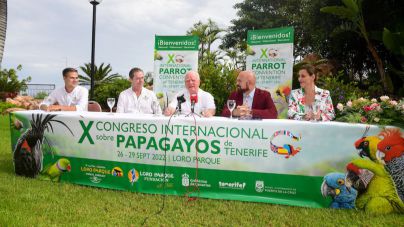 Arranca el X Congreso Internacional de Papagayos de Tenerife