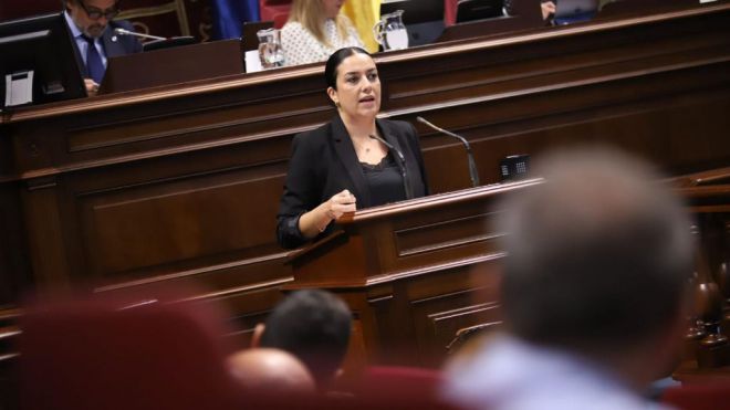Fleitas a la oposición: “Ustedes sólo pretenden poner palos a las ruedas a las personas que han perdido todo en La Palma”