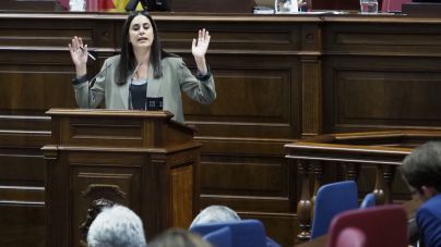 Espino lamenta que el Gobierno defienda unas cuentas estatales que dan más dinero a quienes más tienen