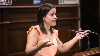 Castilla defiende que Canarias cuenta con 84 textos legales que velan por el desarrollo de nueva oferta turística