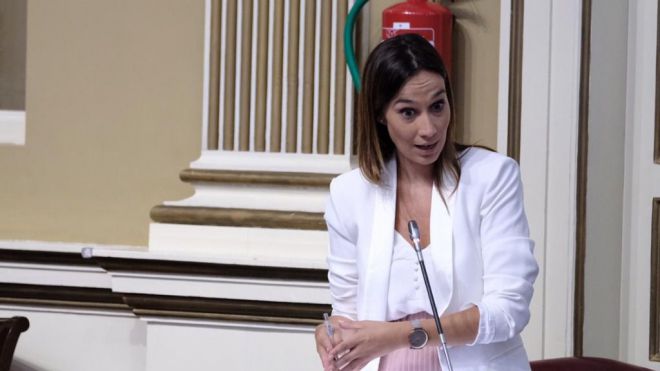Fierro: “Solicitar una comisión de investigación cinco meses después justo cuando ya lo investiga la justicia es hacer un uso político”