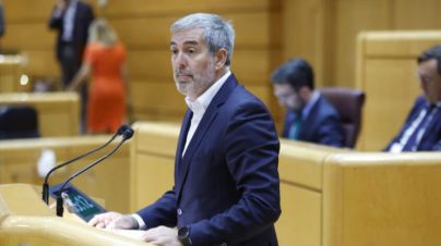 Clavijo logra, con el rechazo del PSOE, los apoyos para adaptar la PAC a las singularidades canarias y a La Palma