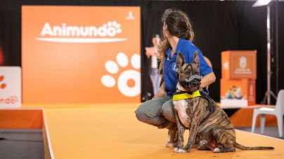 Animundo se despide haciendo hincapié en la tenencia responsable de animales de compañía