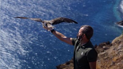 El Cabildo invertirá 3,4 millones de euros en una red insular de infraestructuras para la observación de aves