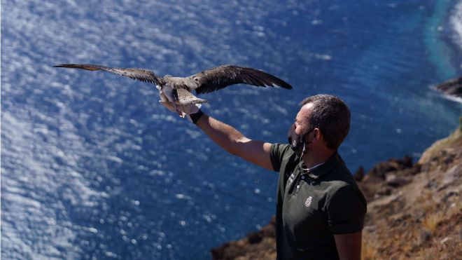El Cabildo invertirá 3,4 millones de euros en una red insular de infraestructuras para la observación de aves