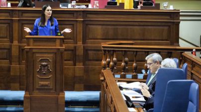 "El Gobierno de Canarias es un órgano de propaganda de Moncloa"