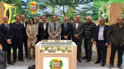El sector hortofrutícola canario presenta en la Feria Fruit Logistica su potencial exportador