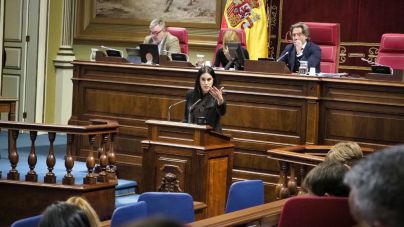"El Gobierno recaudó el pasado año 569 millones mas de lo previsto por el impuesto canario al combustible"